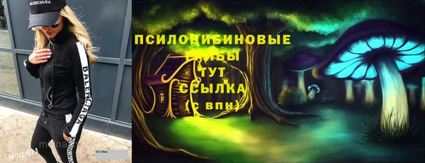 ALPHA PVP Алексин