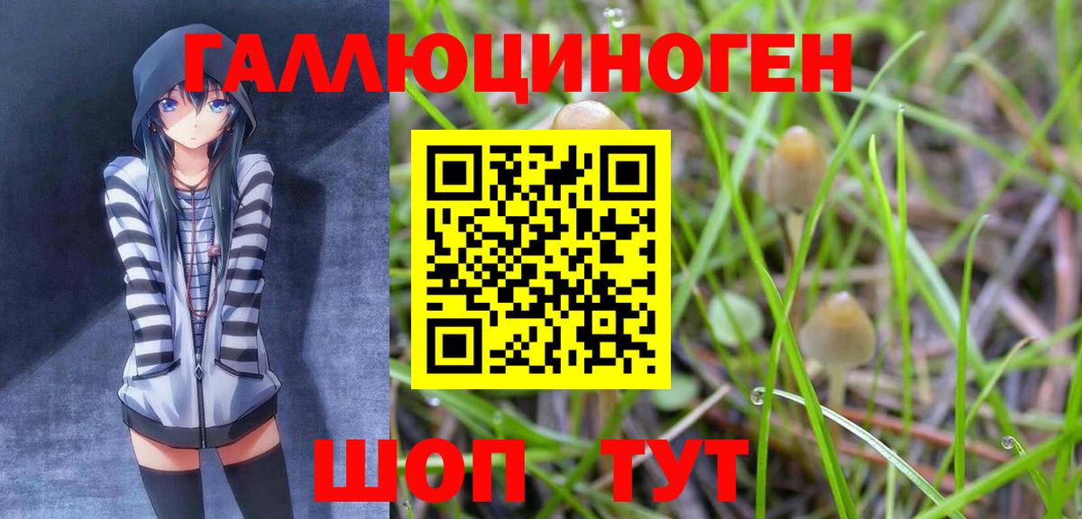 Чистополь  Псилоцибиновые грибы Cubensis  Галлюциногенные грибы Magic Shrooms  Вход с VPN 
