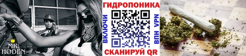 кракен зеркало  как найти   Чистополь  Каннабис планчик 